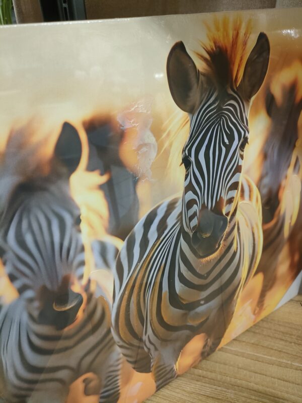 Tela Savana Sunset Zebre 40*50cm - immagine 2