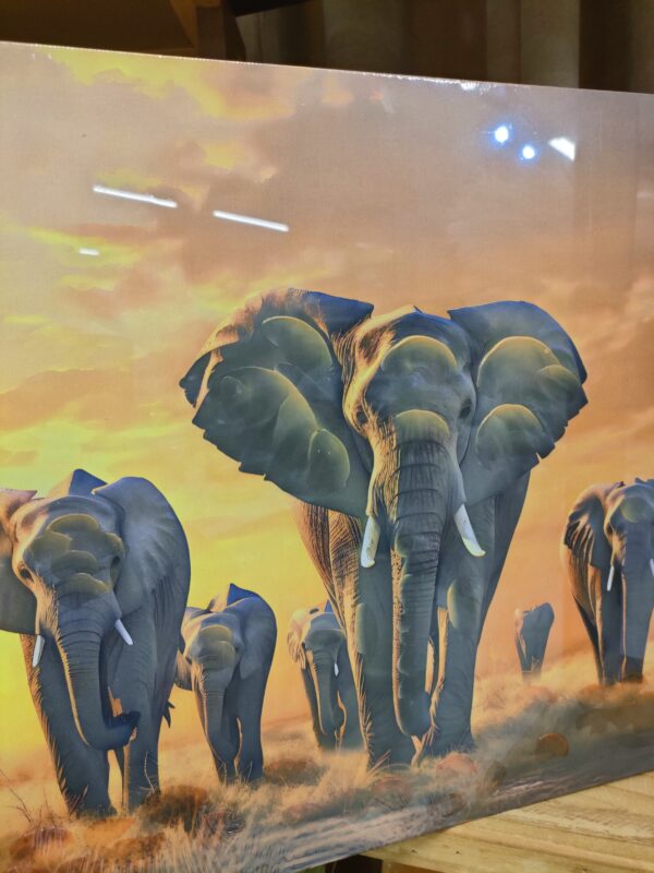 Tela Savana Sunset Elefant 40*50cm - immagine 2