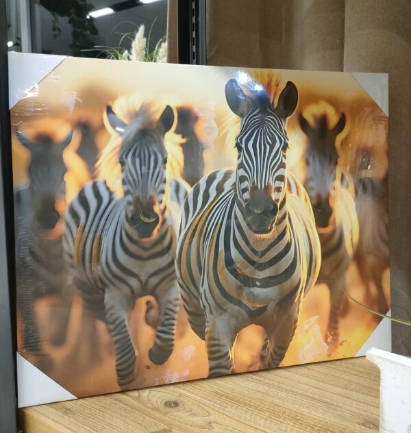 Tela Savana Sunset Zebre 40*50cm