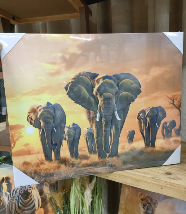 Tela Savana Sunset Elefant 40*50cm