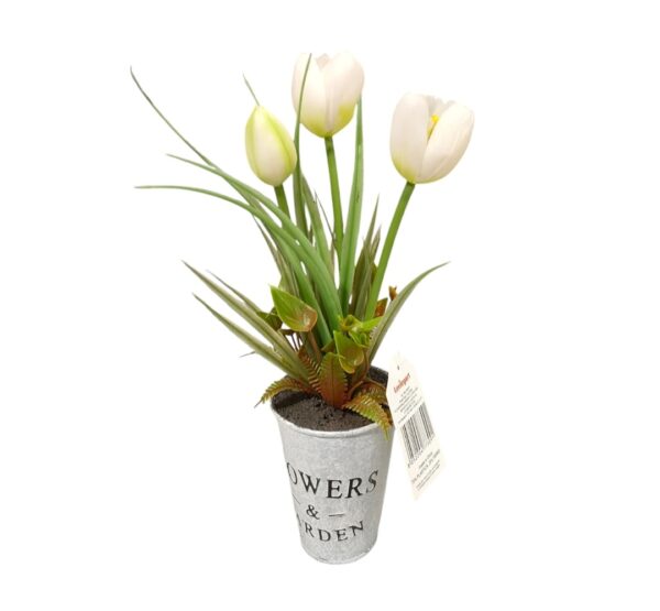 Piantina Tulipani Flowers & Garden H.31cm (4Colori) - immagine 3